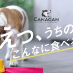 カナガンドッグフード 口コミ