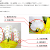 胡蝶蘭園.com 口コミ