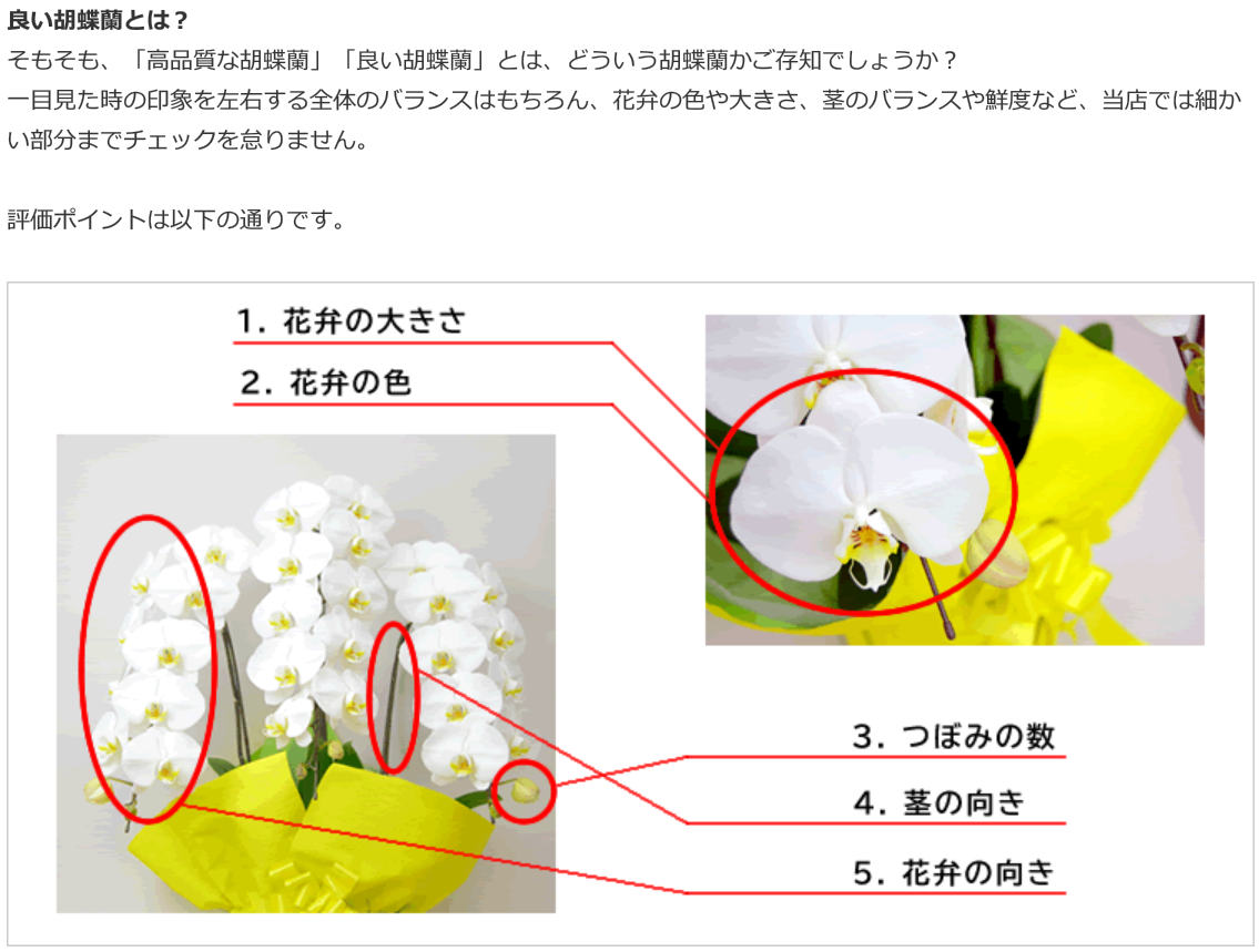 胡蝶蘭園.com 口コミ