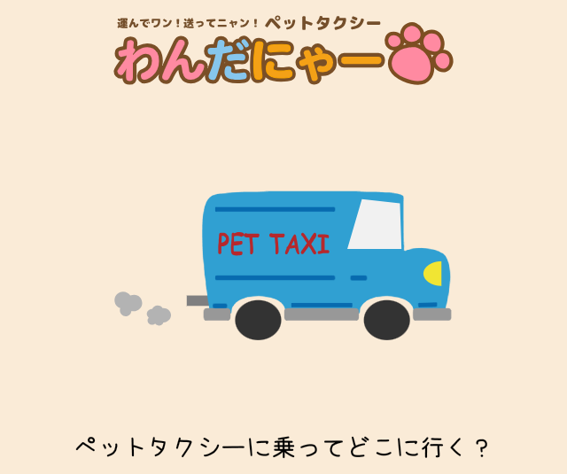 わんだにゃー 口コミ
