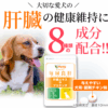 毎日良肝 口コミ