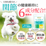 毎日散歩 口コミ