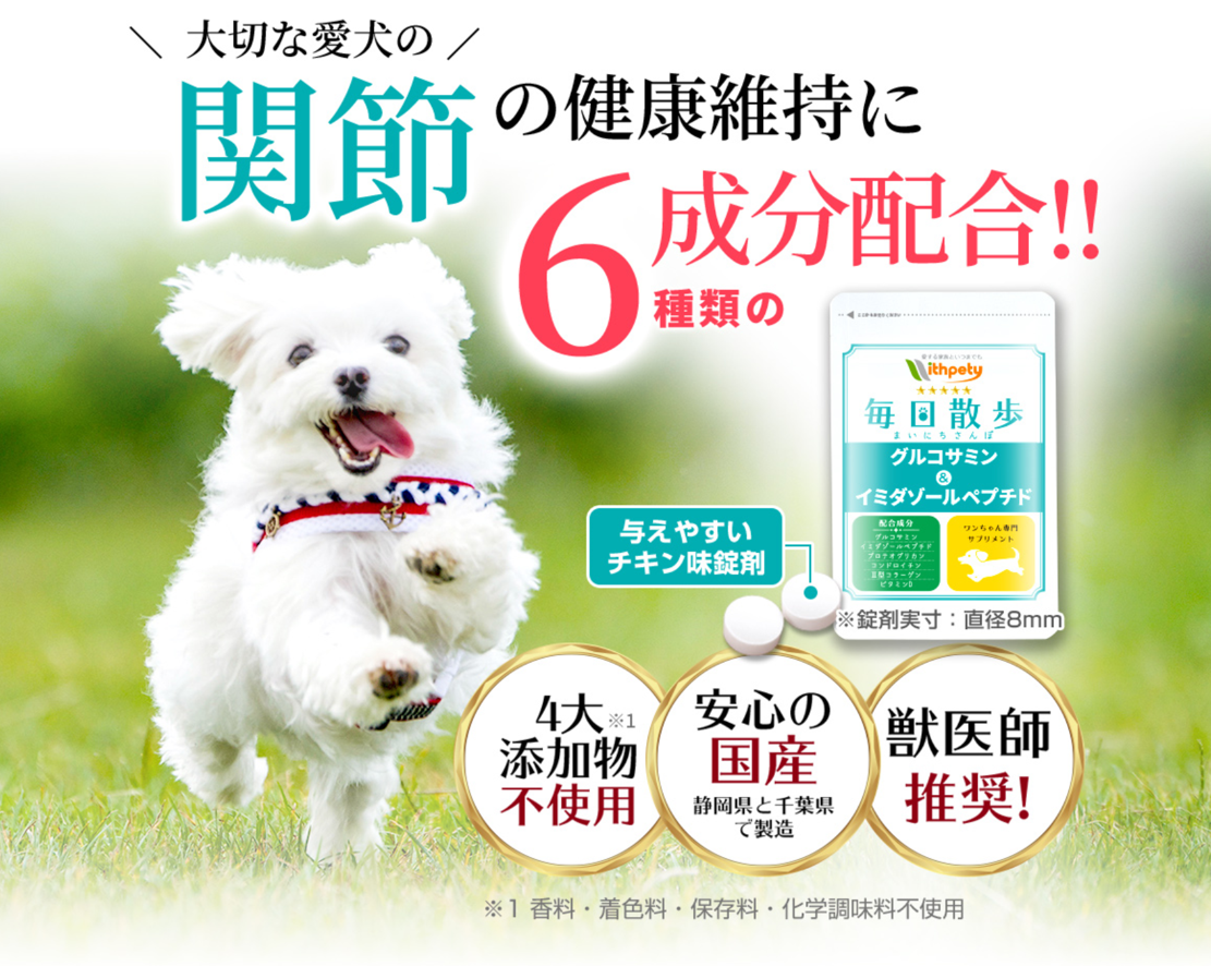 毎日散歩 口コミ