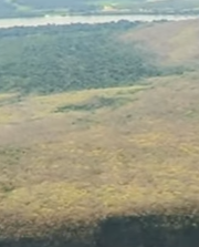 ボリビアのアマゾン上流のノエル・ケンプ・メルカード国立公園