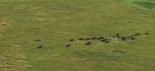 カナダのウッドバッファロー国立公園