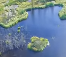 カナダのウッドバッファロー国立公園