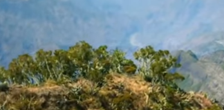 フランスのインド洋レユニオン島