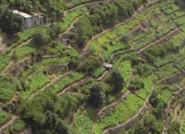 イタリアのチンクエ・テッレ