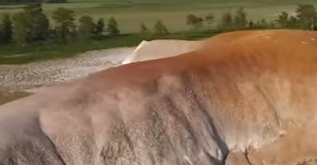 カザフスタンのサルアルカの大草原と湖沼群