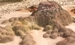 カザフスタンのサルアルカの大草原と湖沼群