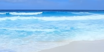 セーシェル諸島のメ渓谷自然保護区